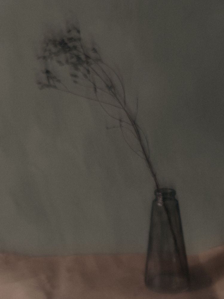 Photograph by Ekaterina