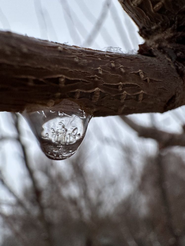 Photograph by Liubov