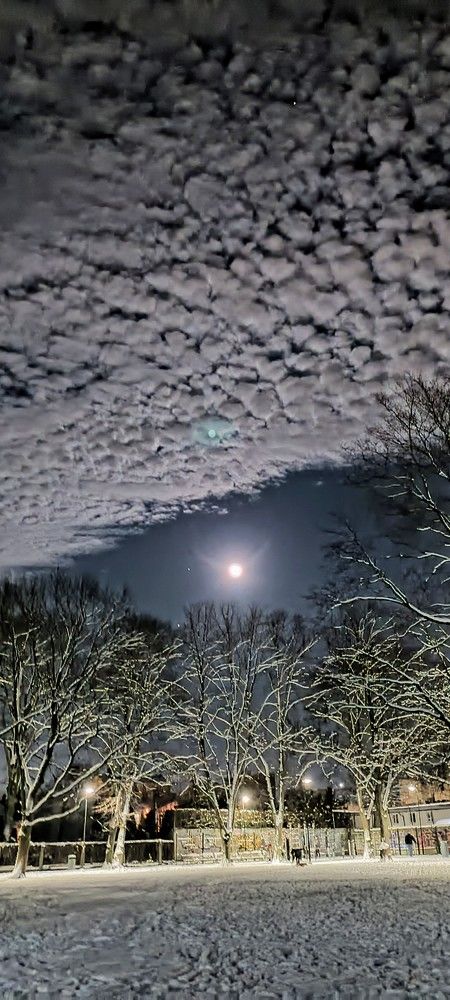 Photograph by Alla Seipulāne