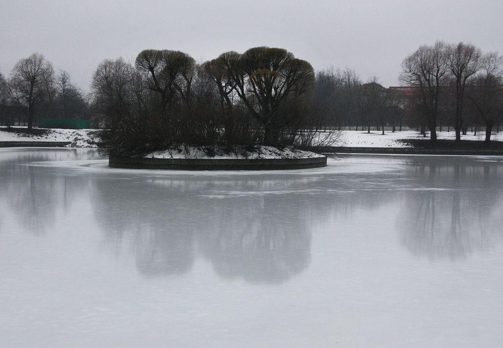 Photograph by Мария Самоловова