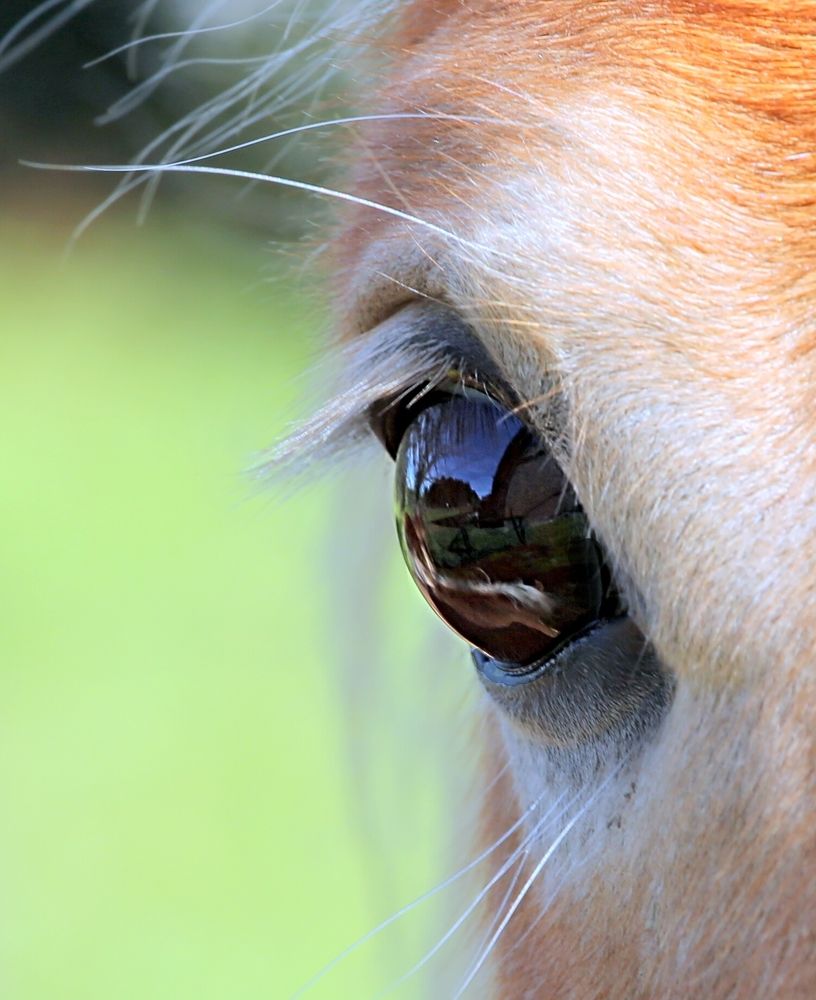 Photograph by Vladislav Kaplun