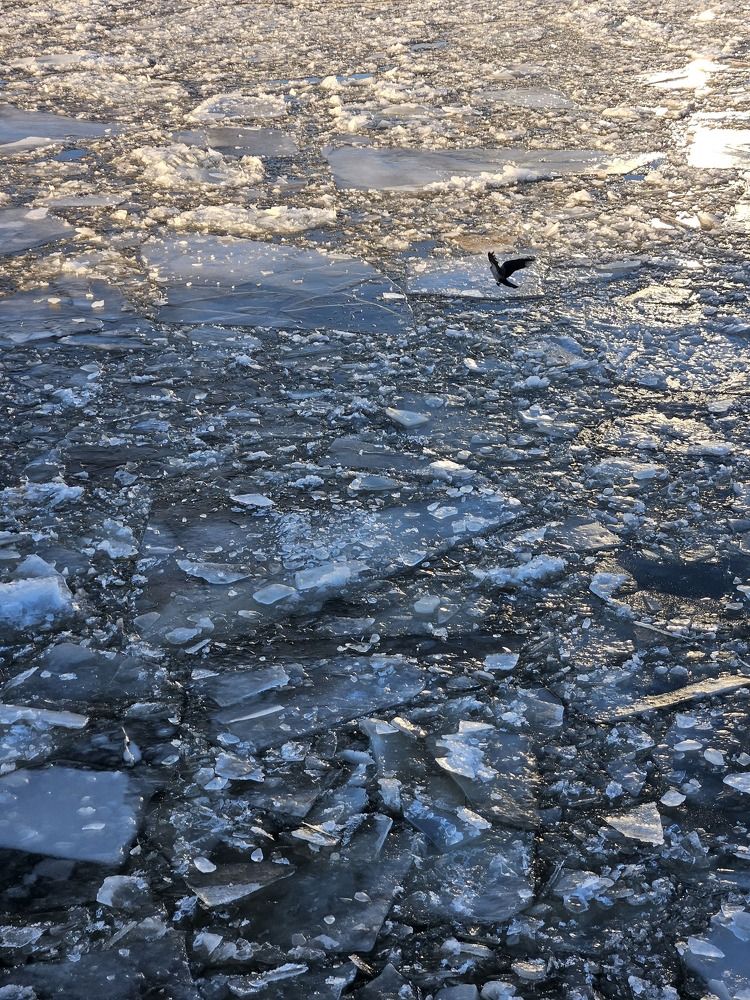 Photograph by Любовь Ершова