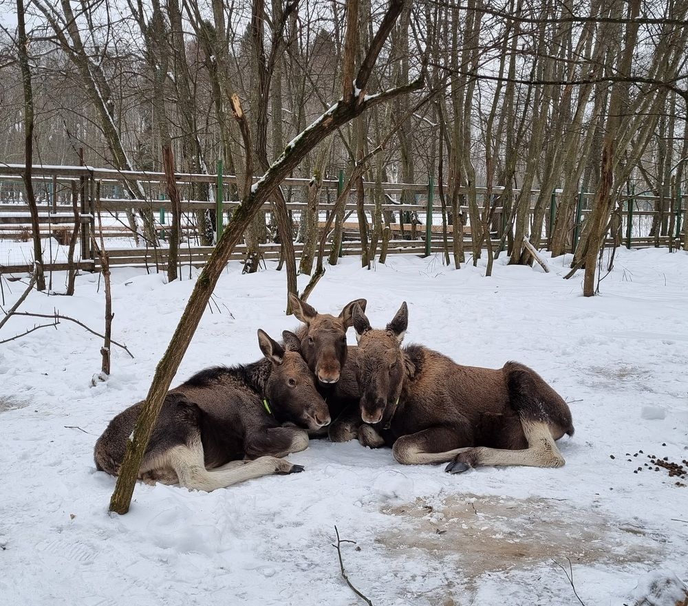 Photograph by Julia Kosenchuk