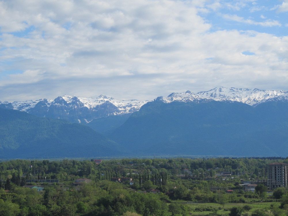 Photo #11728703