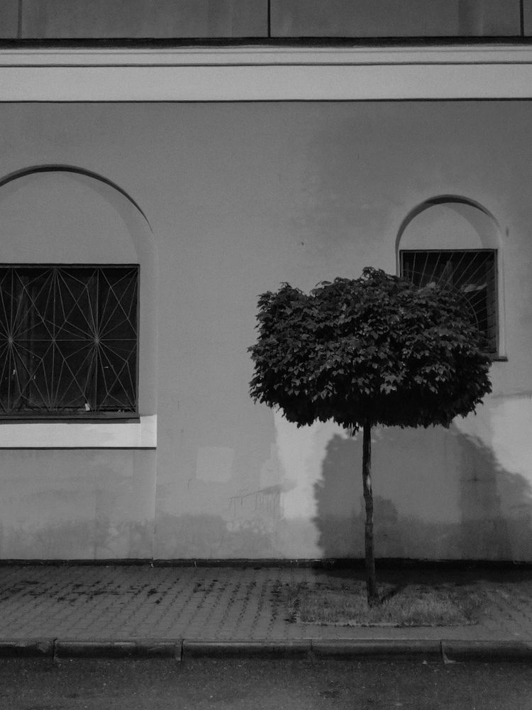 Photograph by Екатерина Смирнова