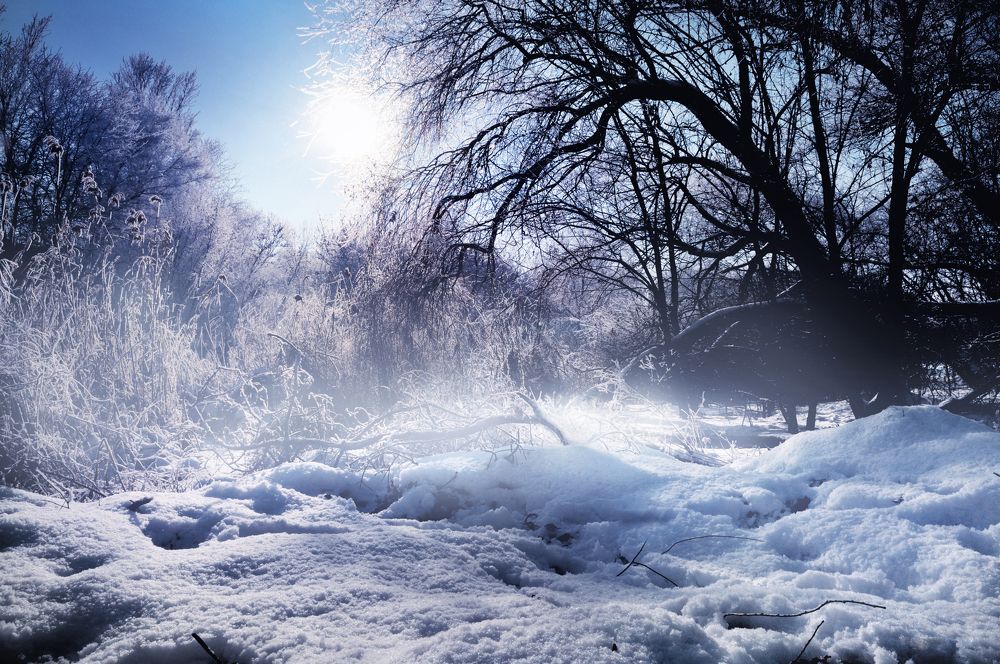 Фотография автора Сергей Иваненко
