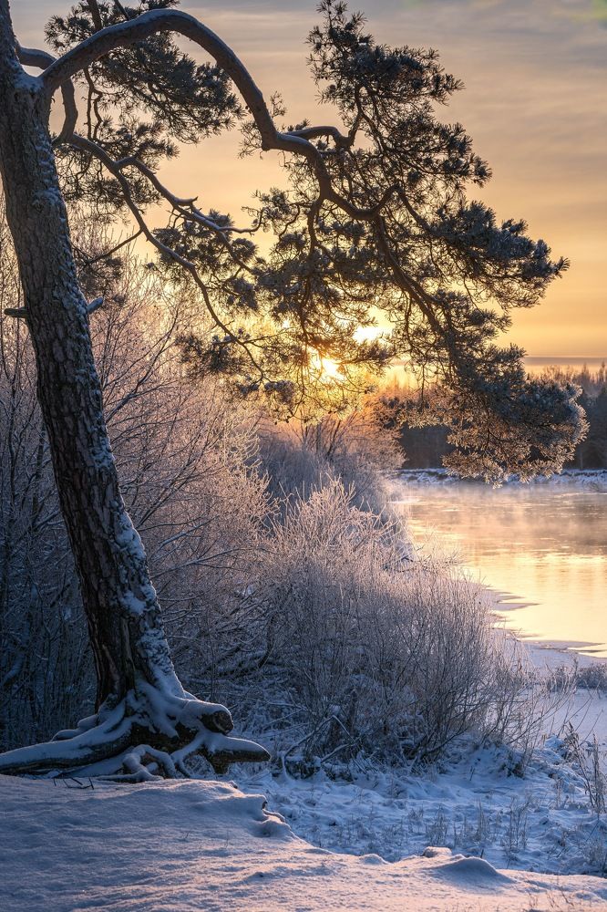 Photograph by Шимаковский Юрий