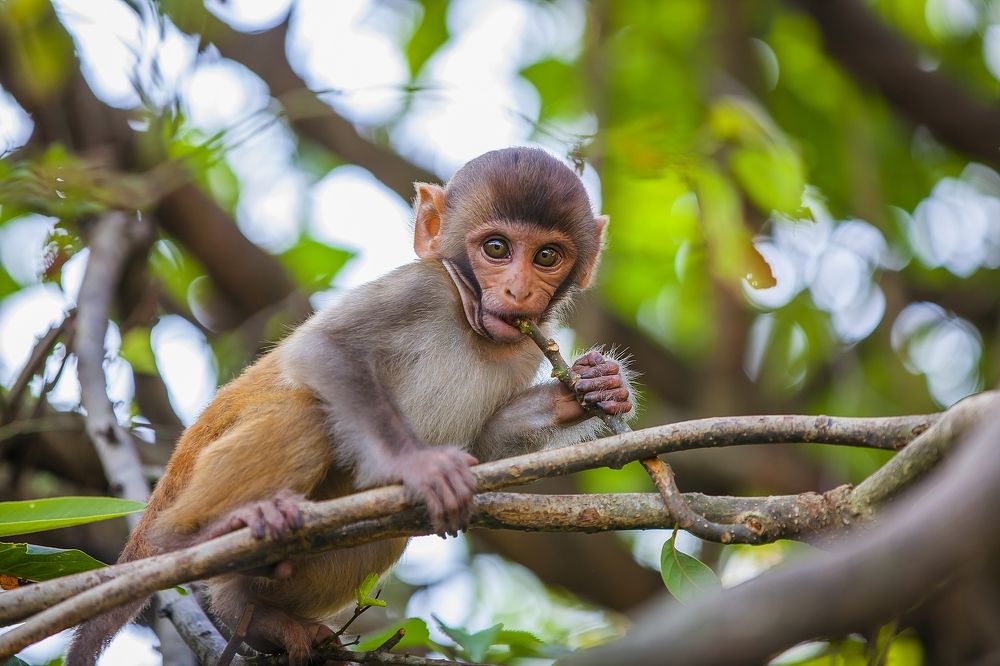 Photograph by Цыба Роман