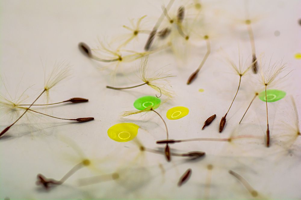 Photograph by Муза Латинская