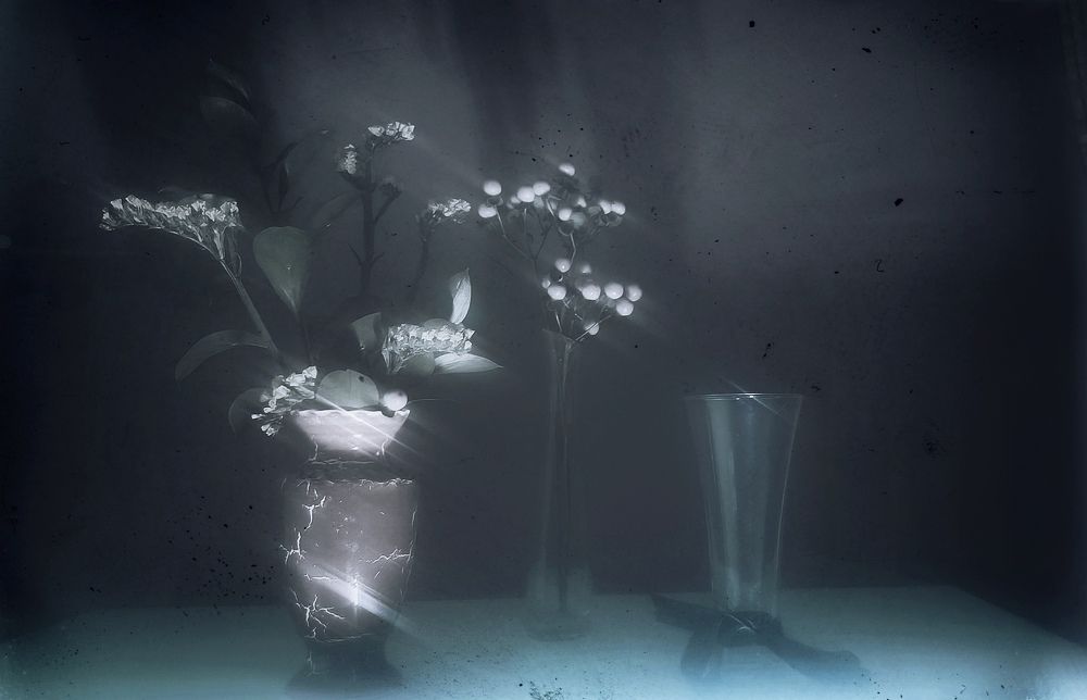 Photograph by Svetlana Gubanova