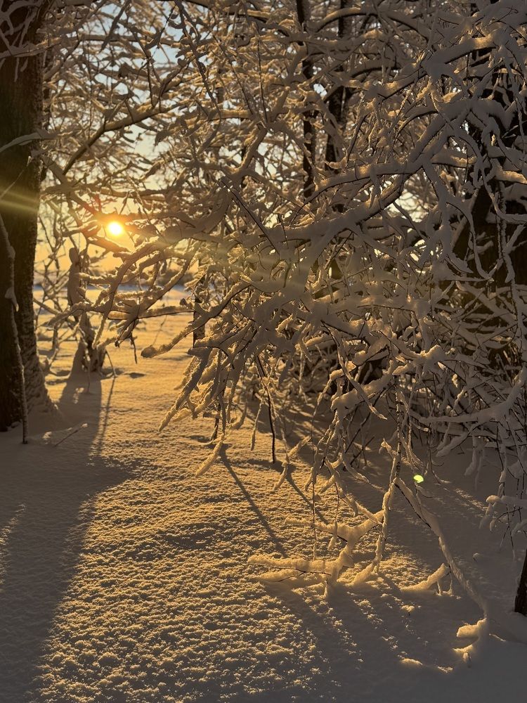 Photograph by Елена Войтова