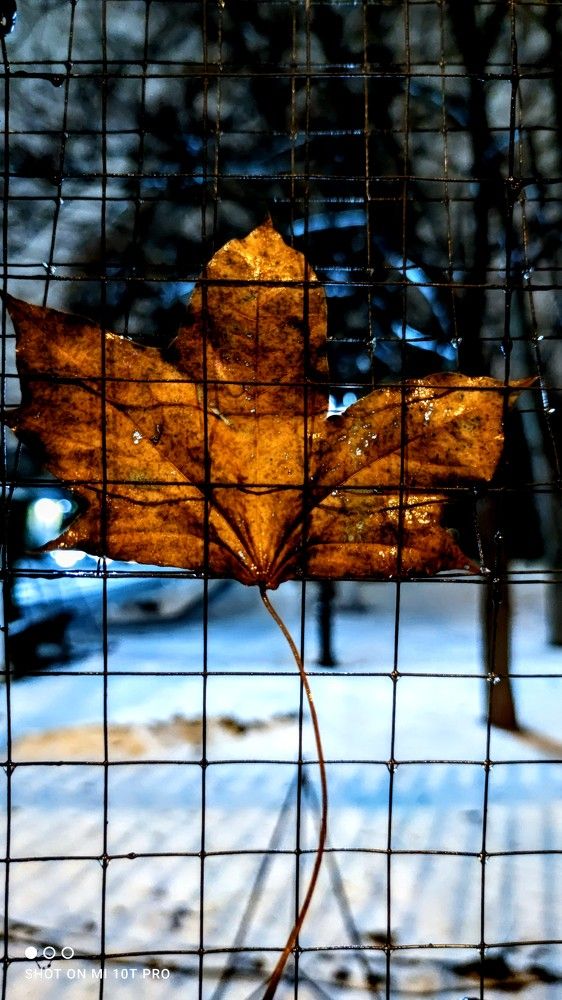 Photograph by Заира