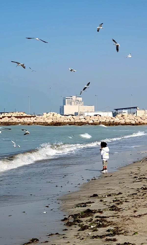 Photograph by Ghazal Ardeshirzadeh