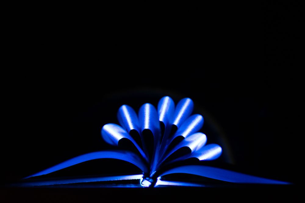 Фотография автора Людмила Фоминых