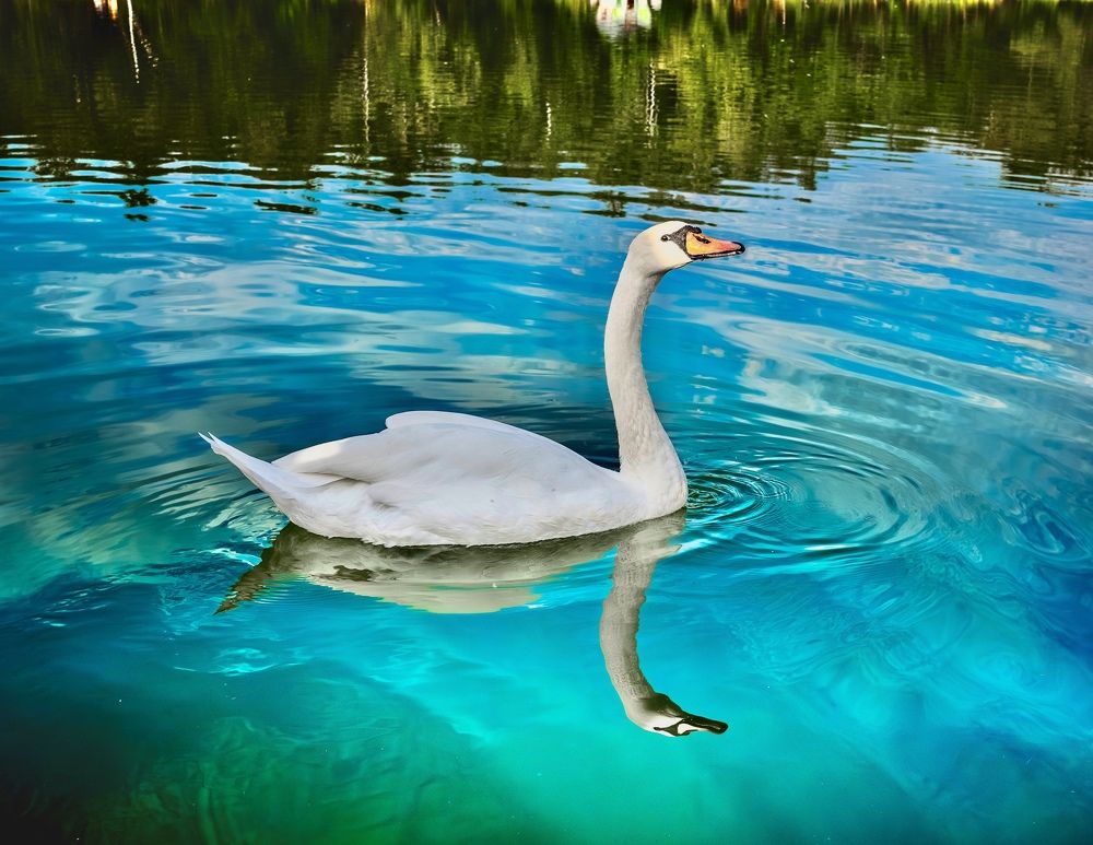 Photograph by Алексей Симонов