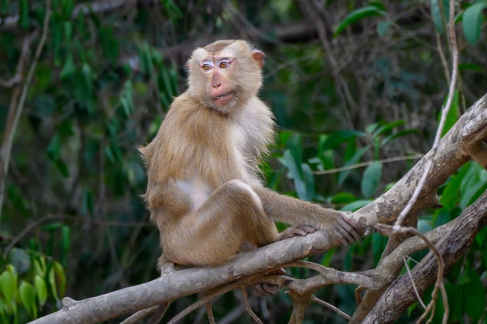 Photograph by Вячеслав Белов