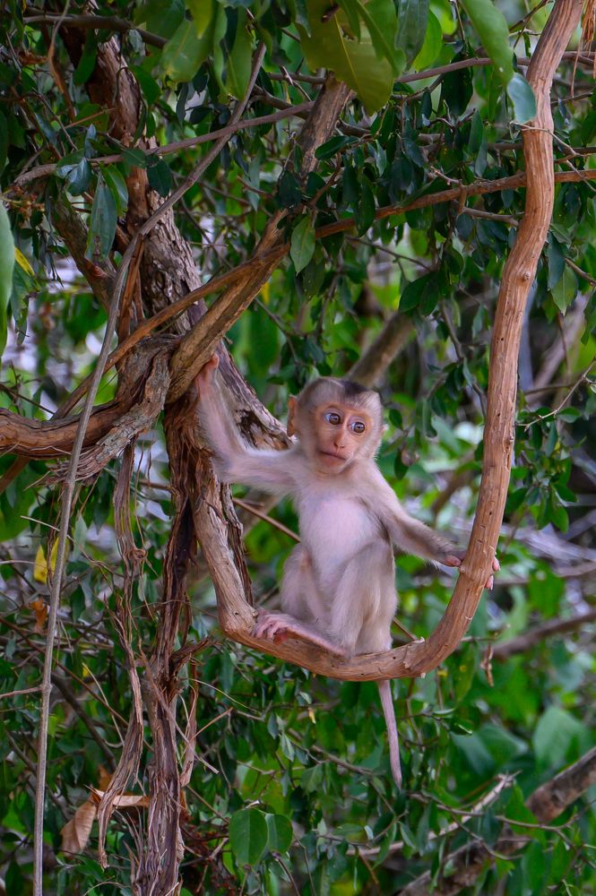 Photograph by Вячеслав Белов