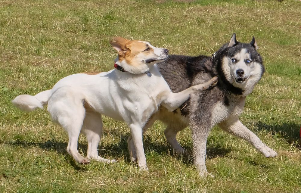 Фотография автора Ольга Виноградова