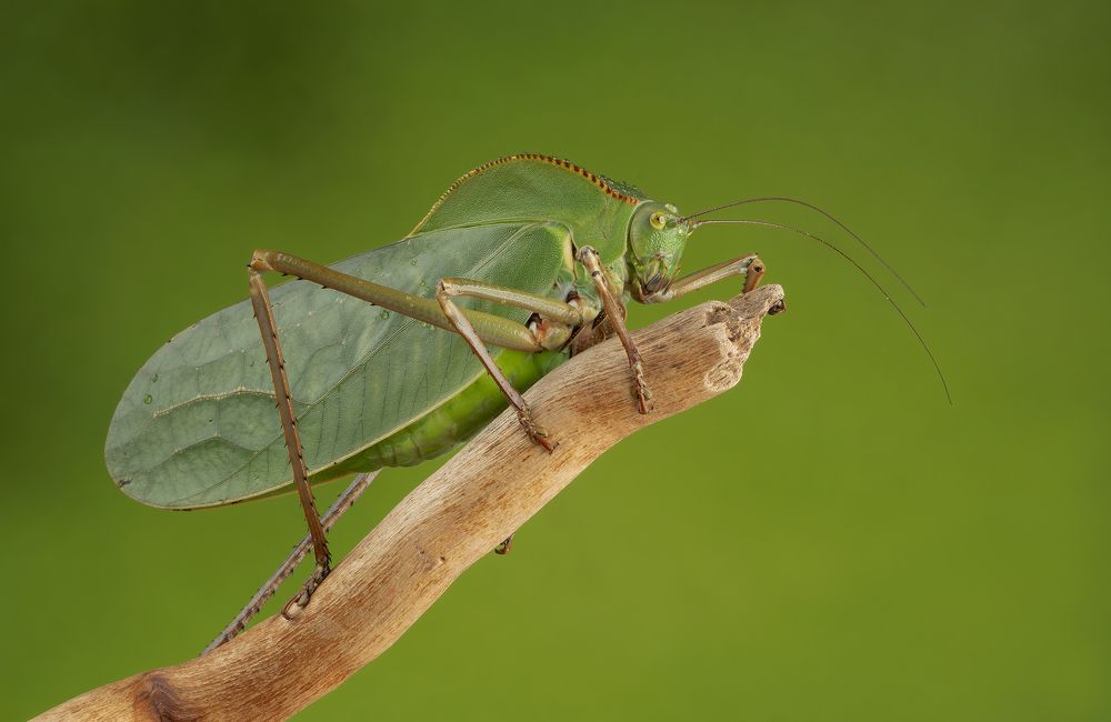 Photograph by MARIA KULA