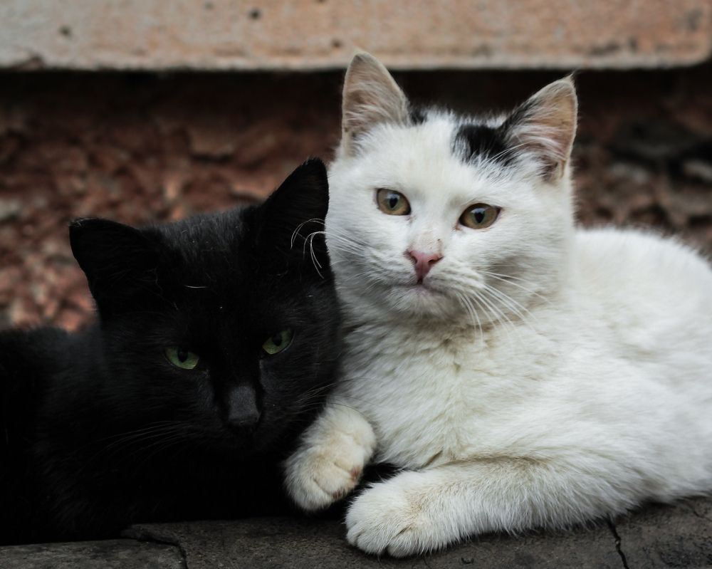 Photograph by Юркин Егор