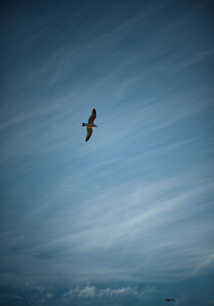 Photograph by Лина Лазарева