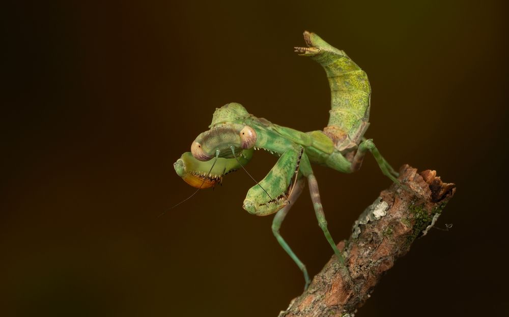 Фотография автора MARIA KULA