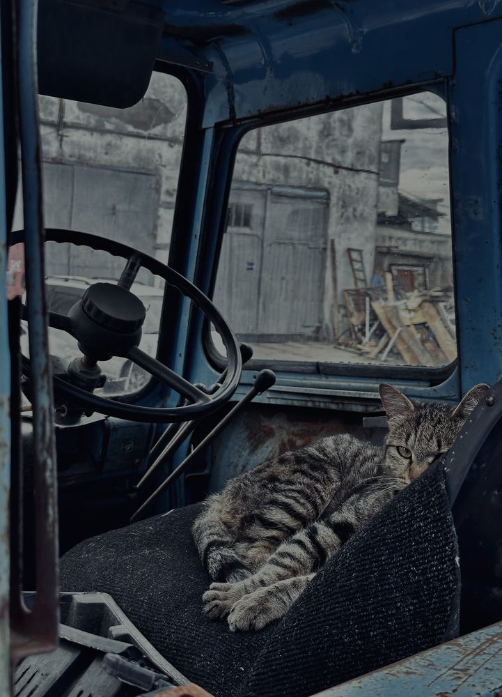 Фотография автора Shklyar Denis