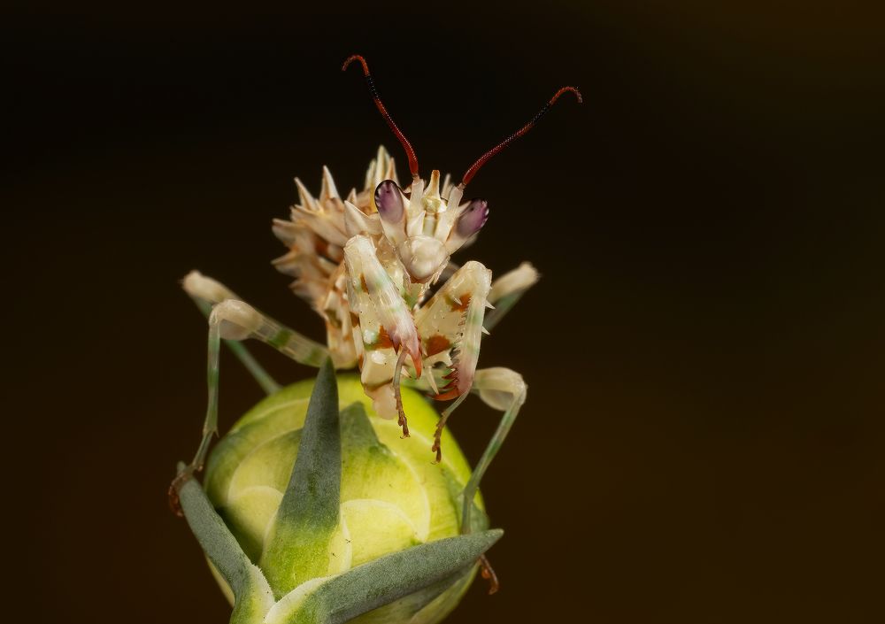 Фотография автора MARIA KULA