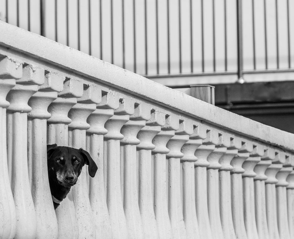 Photograph by Анна Стрелковская