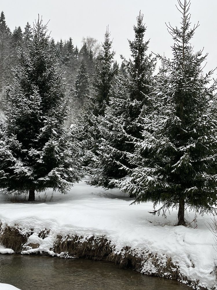 Фотография автора Виктория Ляпина