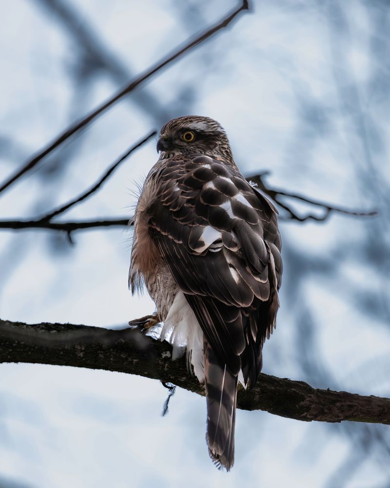 Photograph by Anton Gavrilov