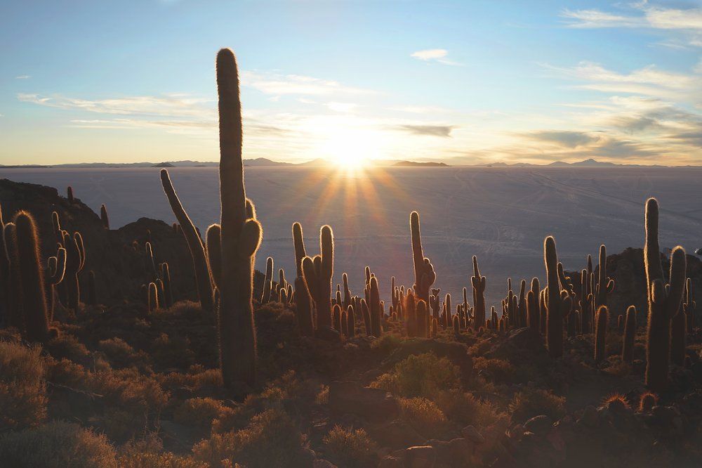 Photograph by Anna Perevozchikova