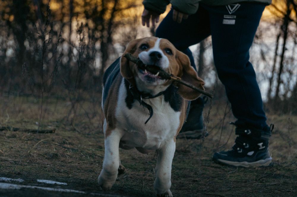 Photograph by Александр Ходакин