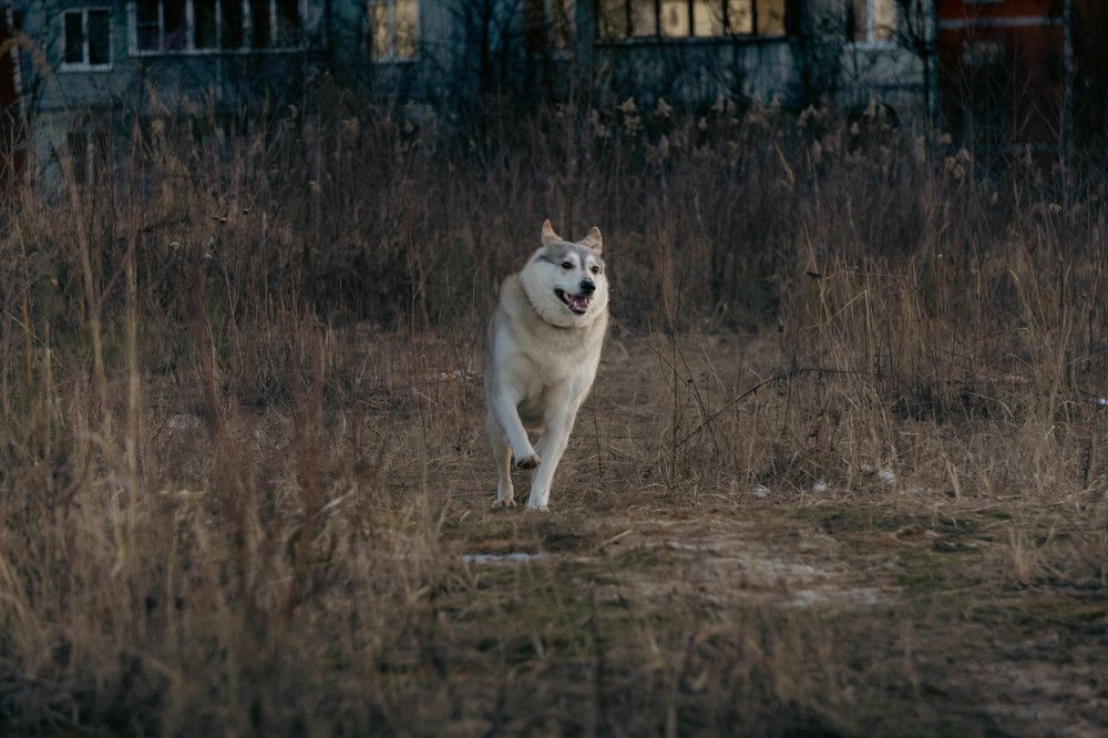 Photograph by Александр Ходакин