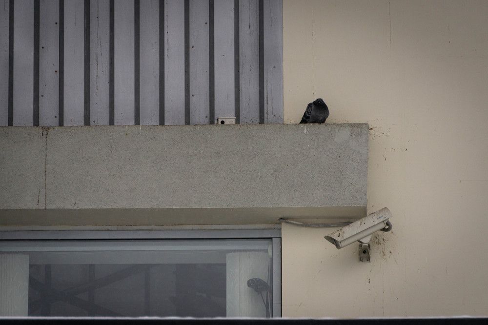 Photograph by Александр Ходакин