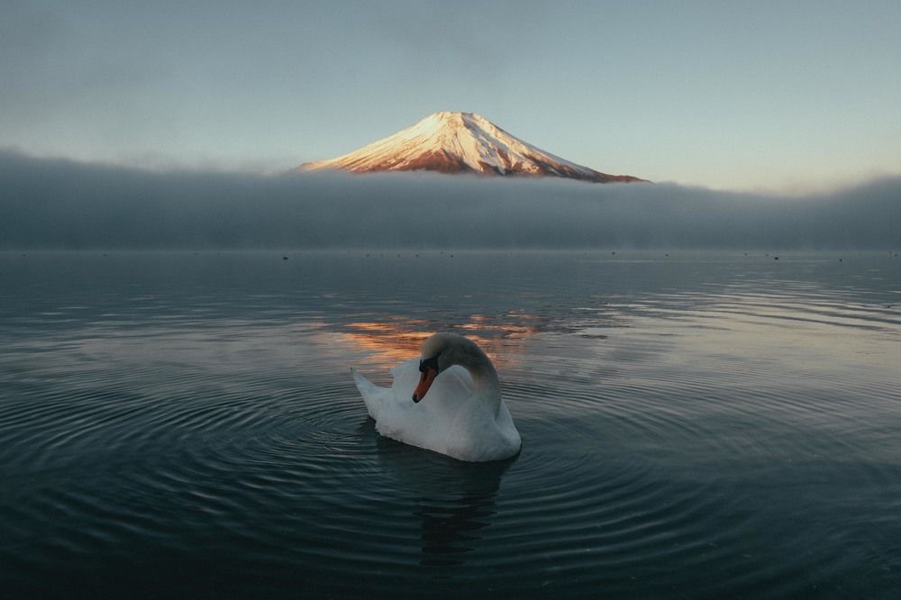 Фотография автора Riki Shinagawa