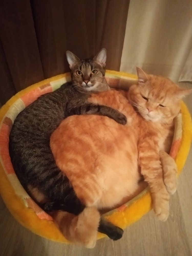 Photograph by Ия Дирко