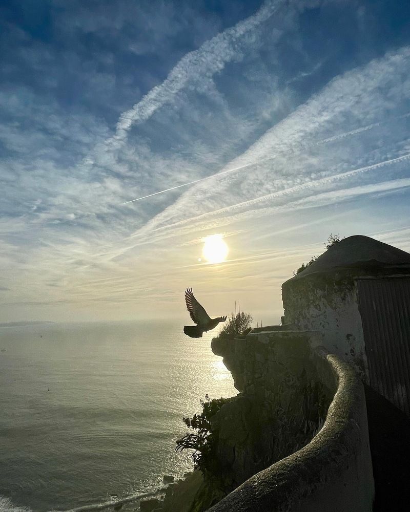 Photograph by Fernanda Martins