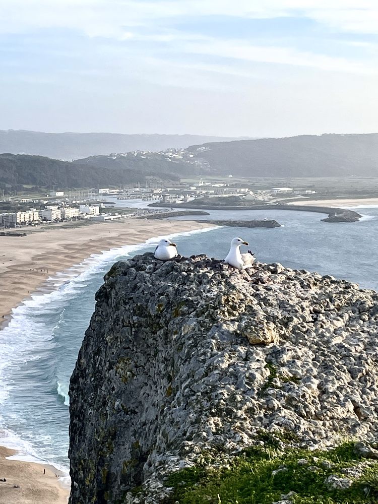 Photograph by Fernanda Martins