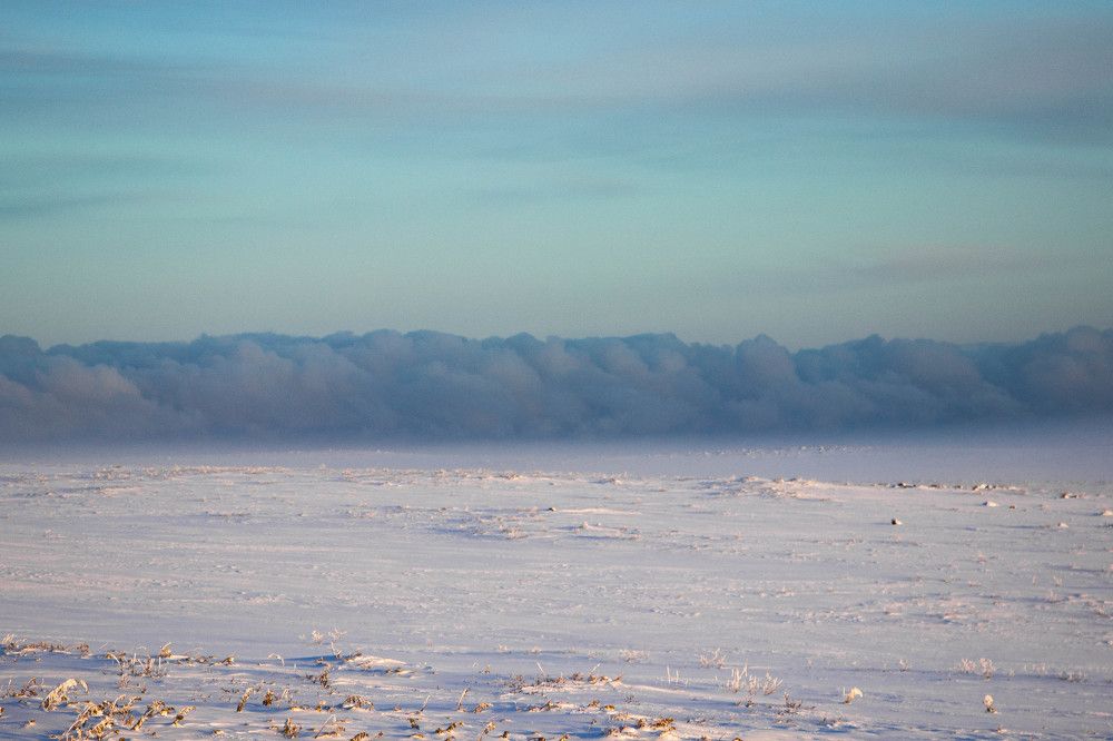 Photograph by Alina Bystrova