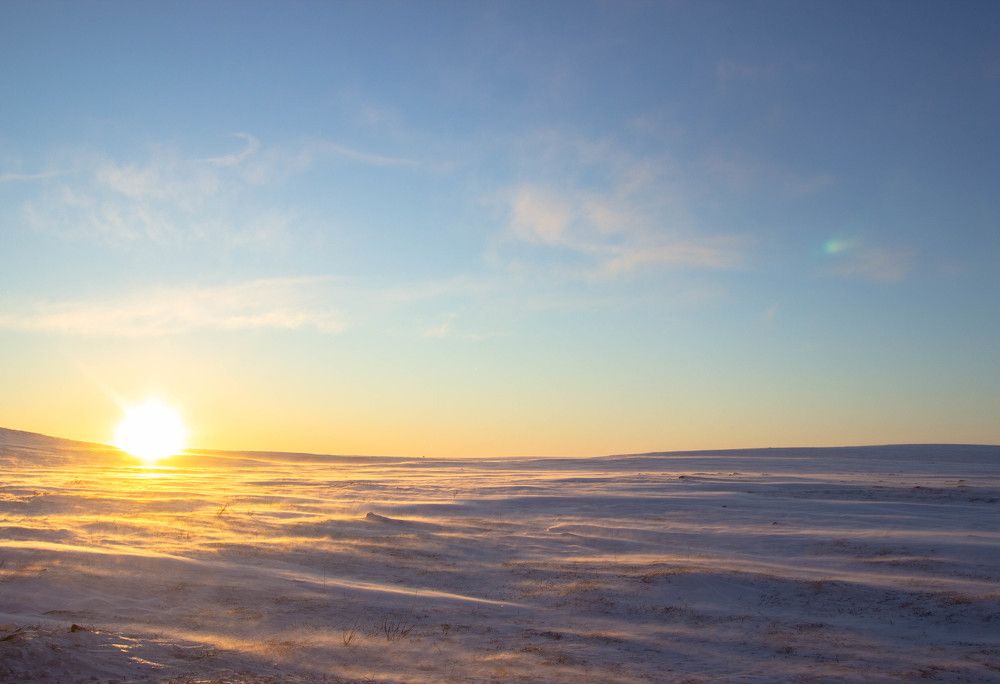 Photograph by Alina Bystrova