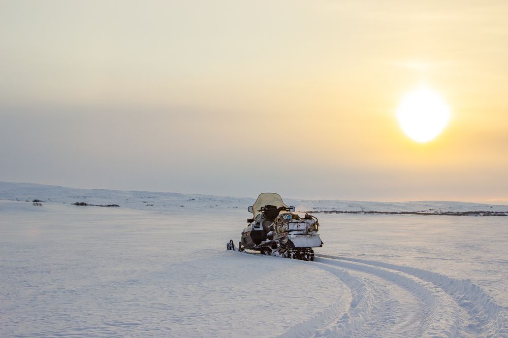 Photograph by Alina Bystrova