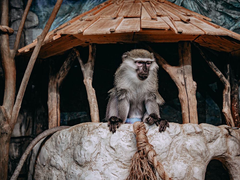 Фотография автора Елена Чиликина