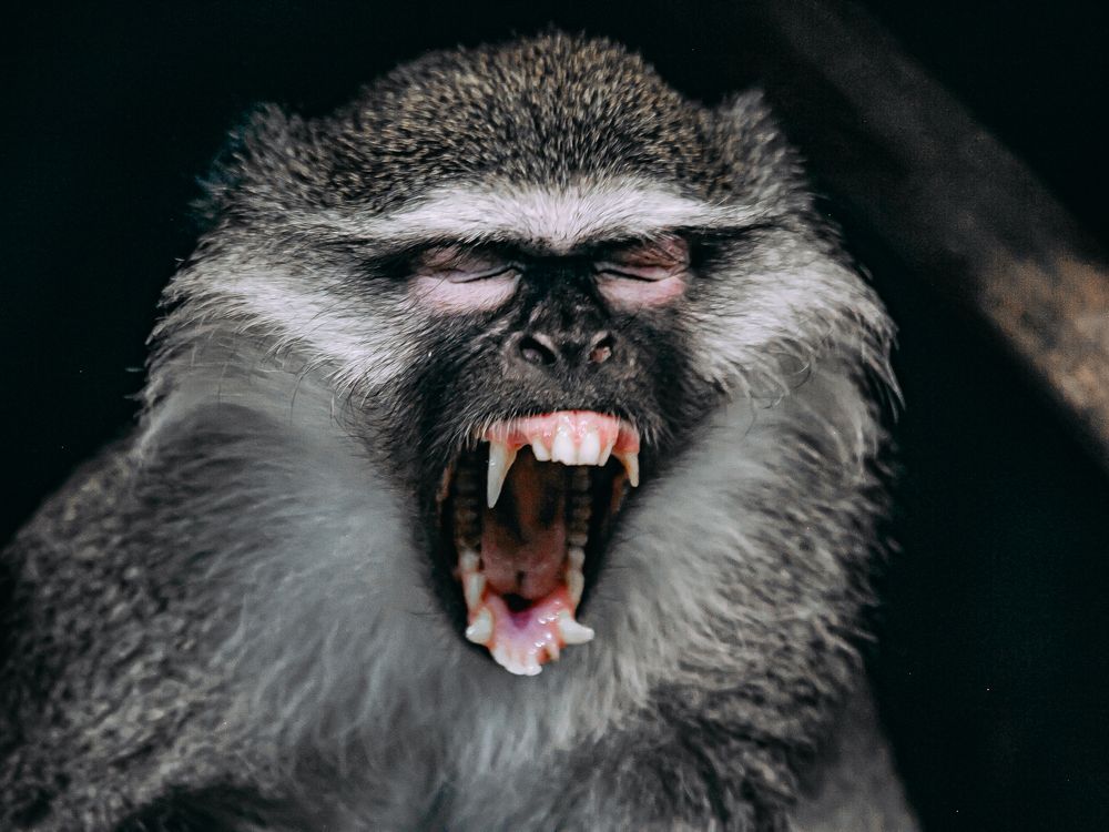 Фотография автора Елена Чиликина