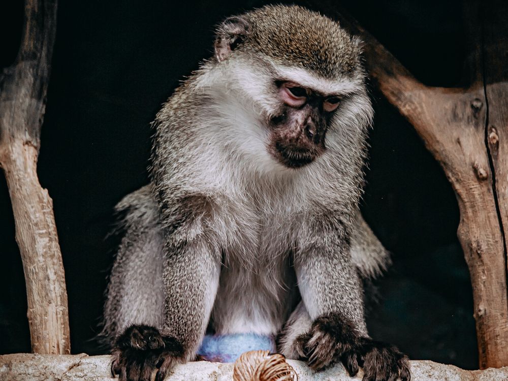 Фотография автора Елена Чиликина