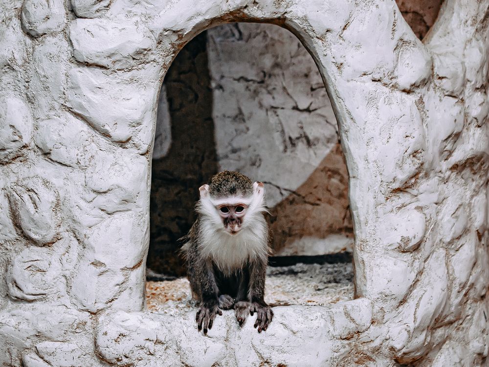 Фотография автора Елена Чиликина