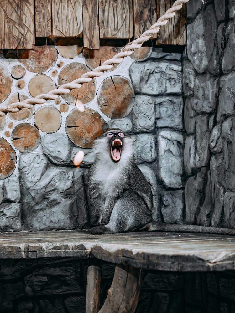 Фотография автора Елена Чиликина