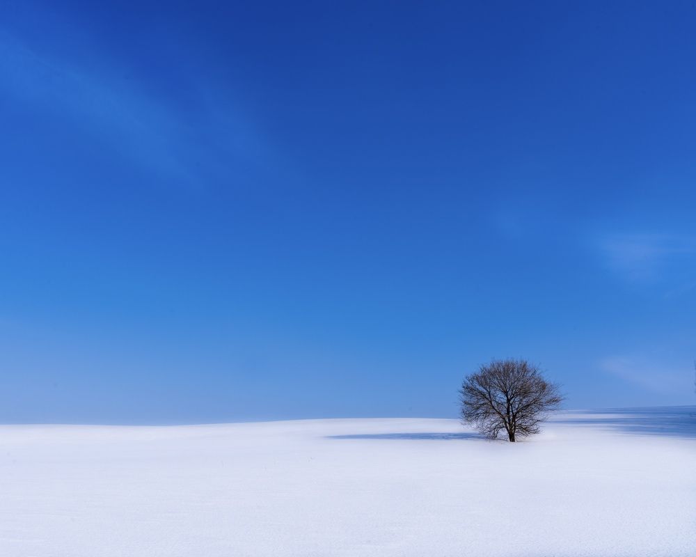 Photograph by Александр