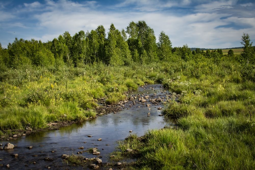 Фотография автора Козельский Сергей