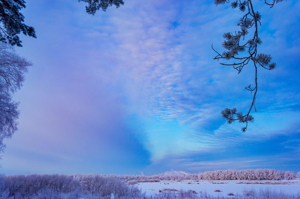 Photograph by Vitaly Zubkov